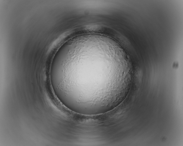 X0000110980734200906191403