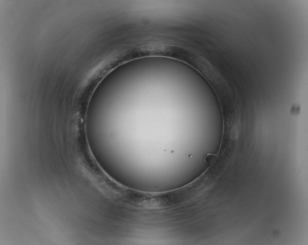 X0000110980735200906191403