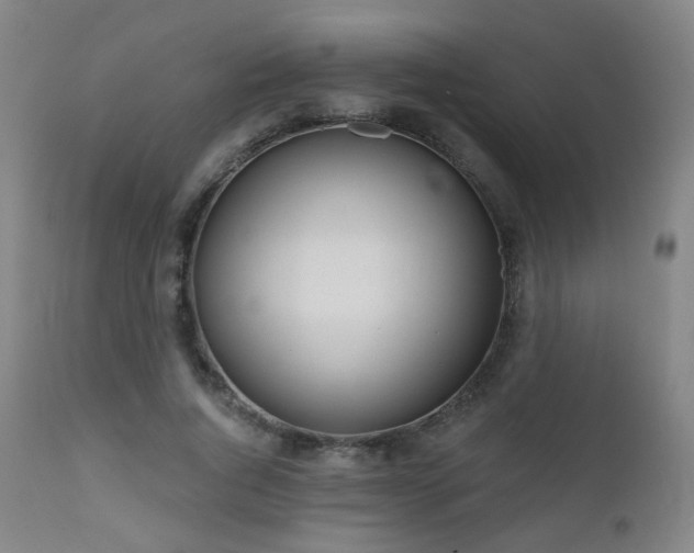 X0000110980736200906191403