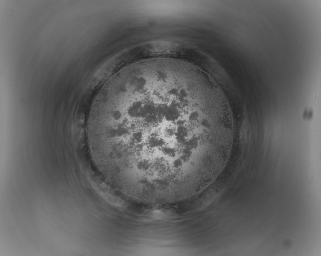 X0000110980737200906191403