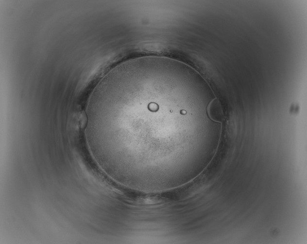 X0000110980739200906191403