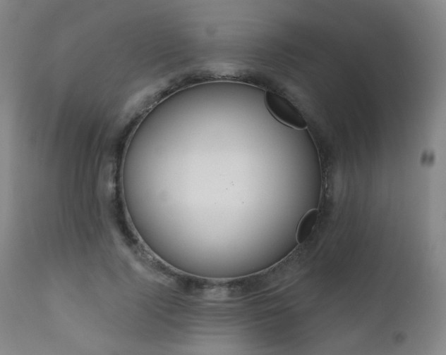 X0000110980740200906191403