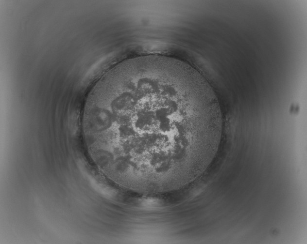 X0000110980741200906191403