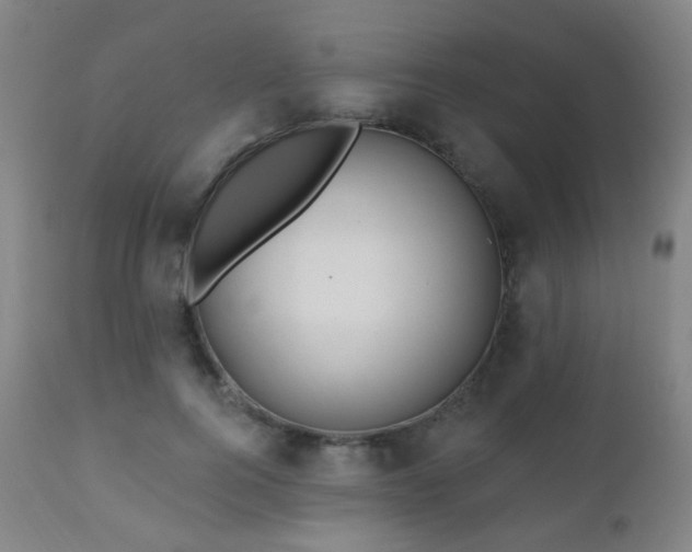 X0000110980744200906191403