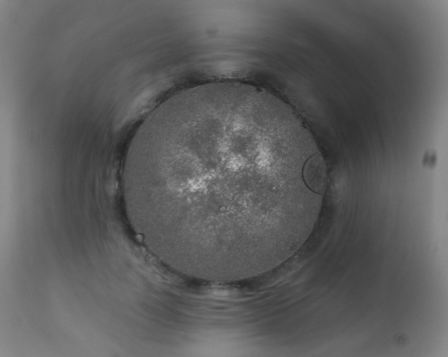 X0000110980746200906191403