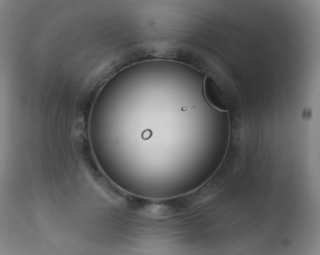 X0000110980748200906191403