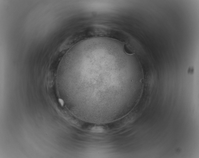 X0000110980751200906191403