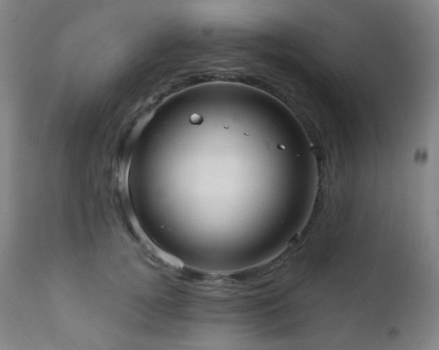 X0000110980752200906191403