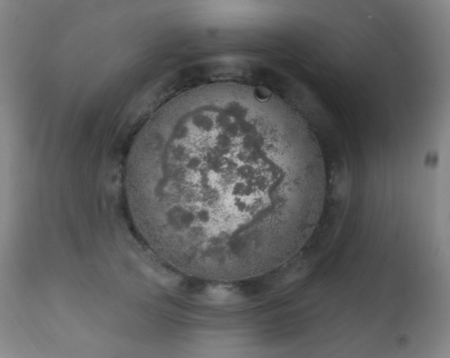 X0000110980753200906191403