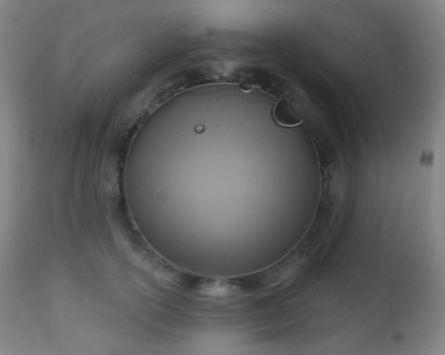 X0000110980754200906191403