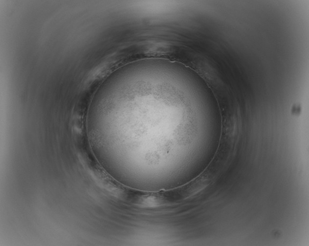 X0000110980755200906191403