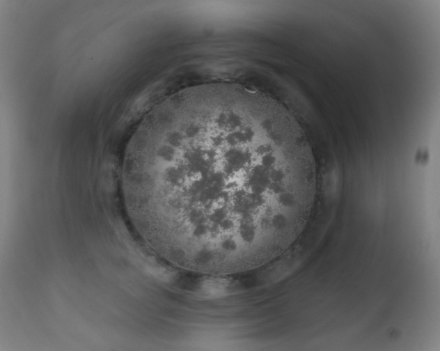 X0000110980757200906191403