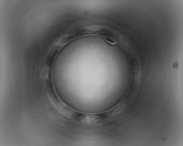 X0000110980758200906191403