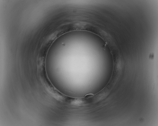 X0000110980759200906191403