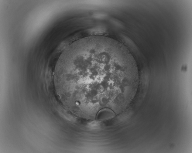 X0000110980761200906191403