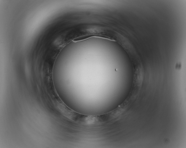 X0000110980762200906191403