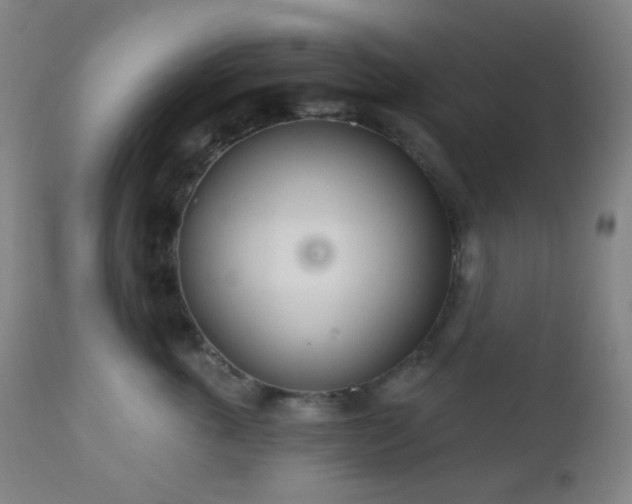 X0000110980763200906191403