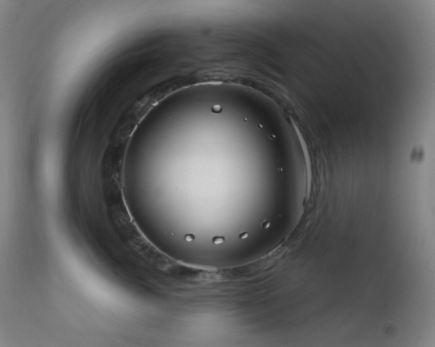 X0000110980764200906191403