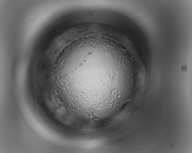 X0000110980765200906191403