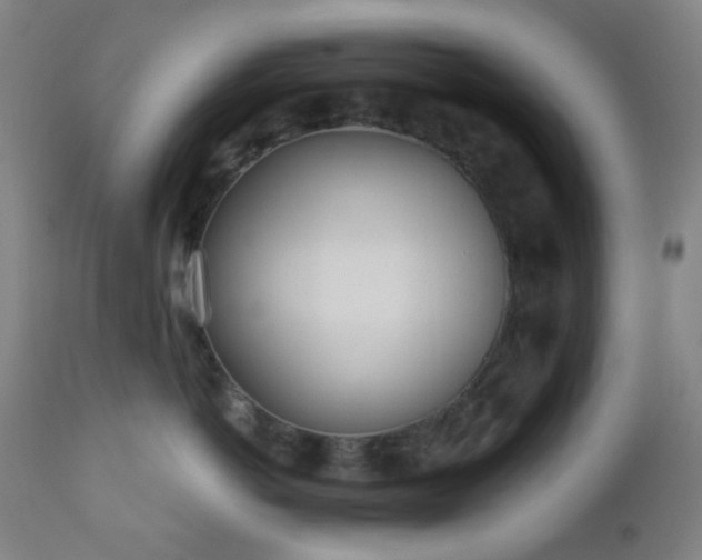 X0000110980766200906191403