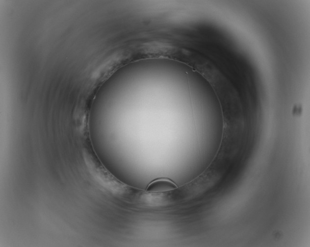 X0000110980767200906191403