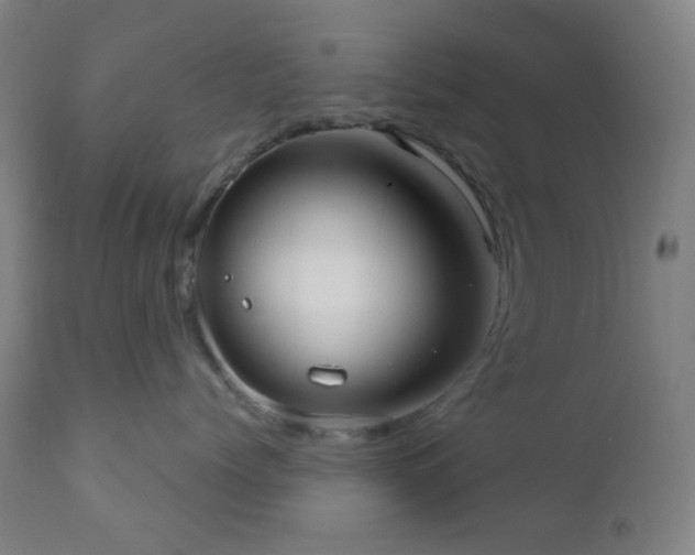 X0000110980768200906191403