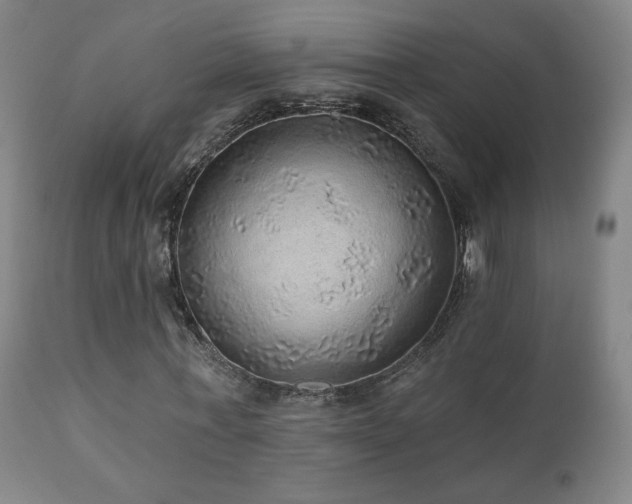 X0000110980771200906191403