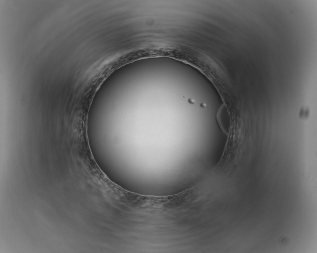 X0000110980773200906191403