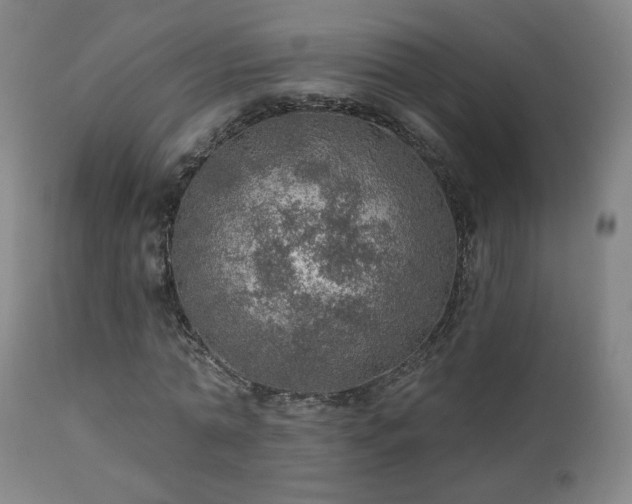 X0000110980774200906191403