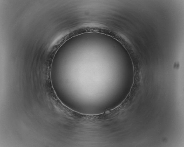 X0000110980775200906191403