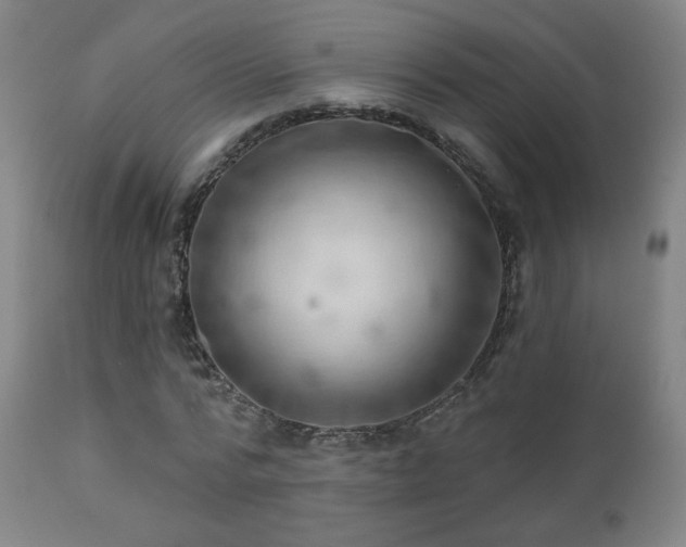 X0000110980776200906191403