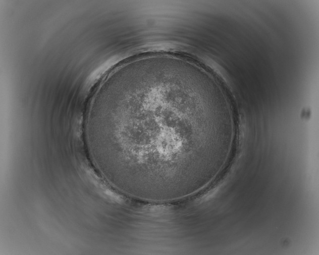 X0000110980778200906191403