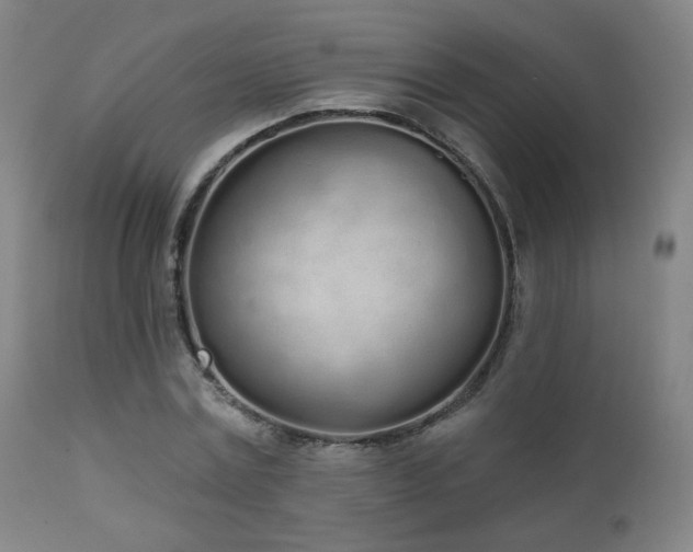 X0000110980779200906191403