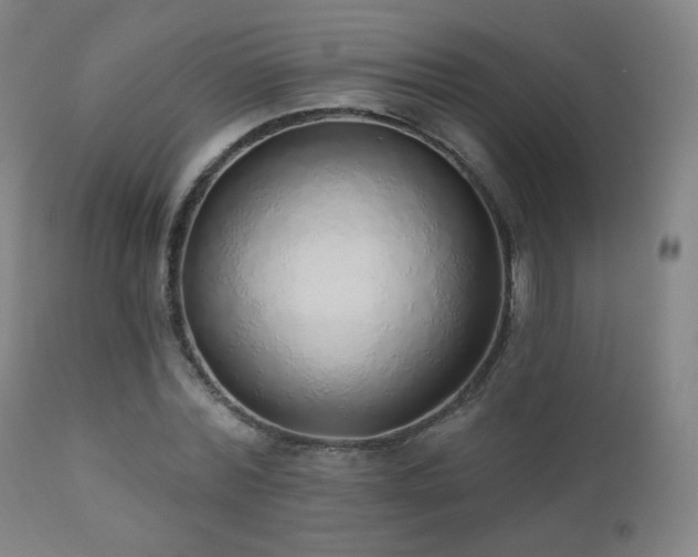 X0000110980780200906191403