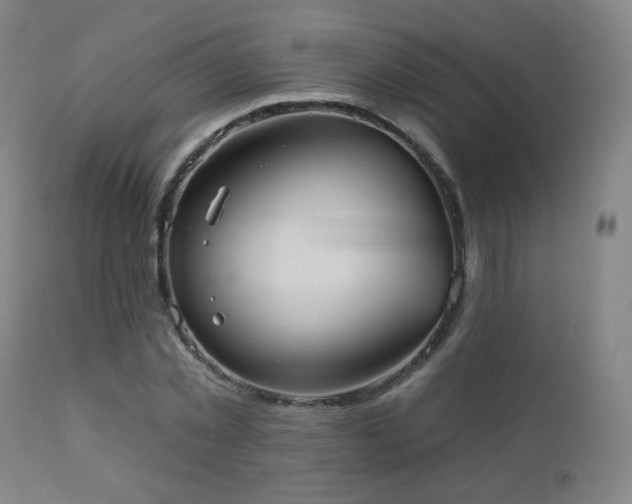 X0000110980781200906191403