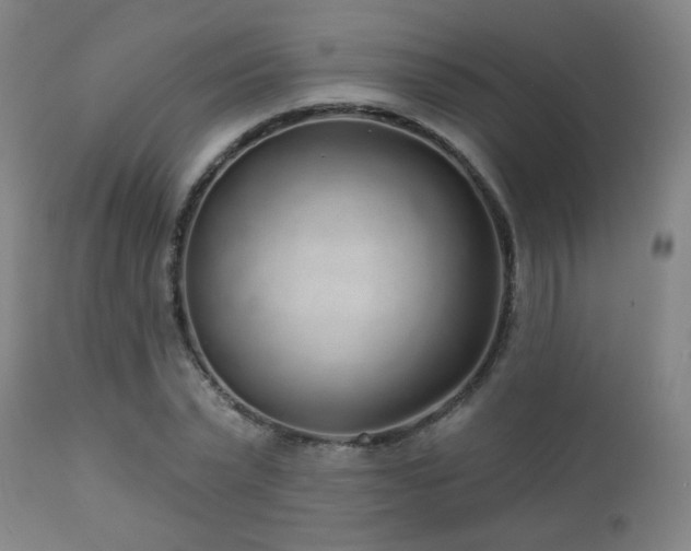 X0000110980783200906191403