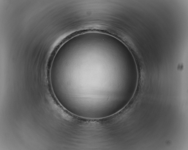 X0000110980784200906191403