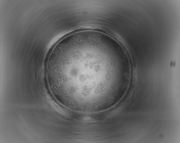 X0000110980787200906191402