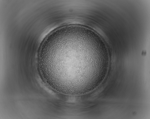 X0000110980790200906191402