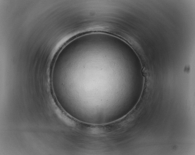 X0000110980792200906191402