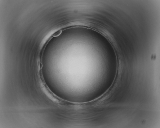 X0000110980796200906191402