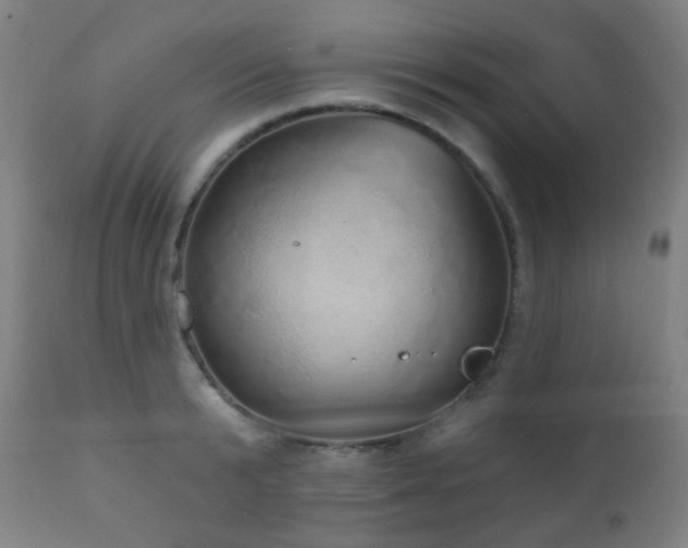 X0000110980799200906191402