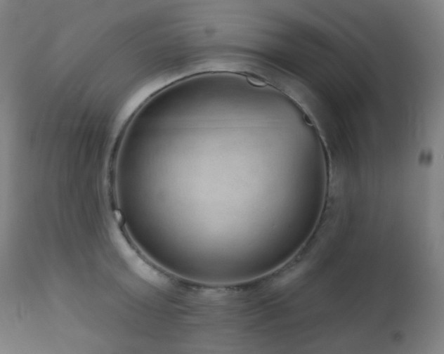 X0000110980803200906191402