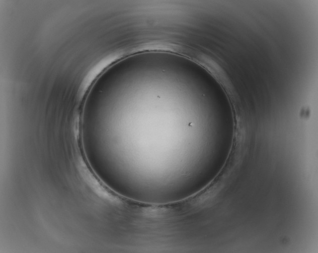 X0000110980804200906191402