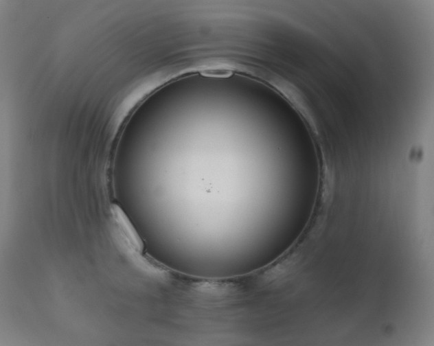 X0000110980805200906191402