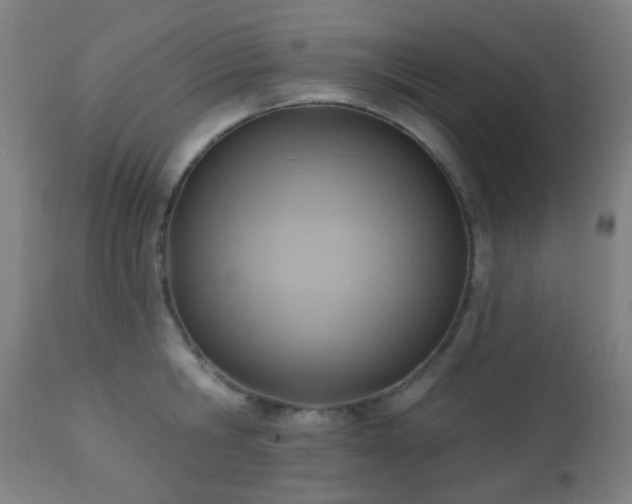 X0000110980806200906191402