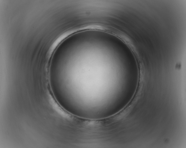 X0000110980808200906191402