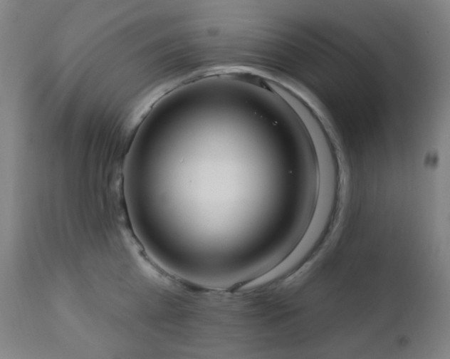 X0000110980809200906191402