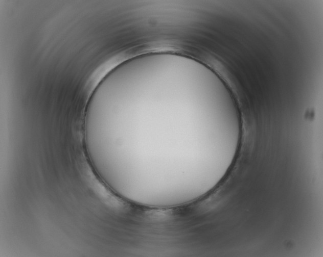 X0000110980810200906191402