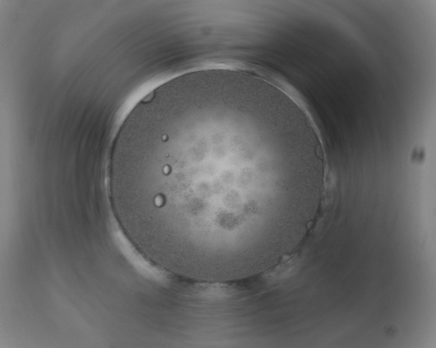 X0000110980811200906191402